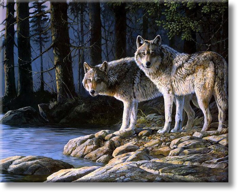 Wolves In The Forest - Painting By Number