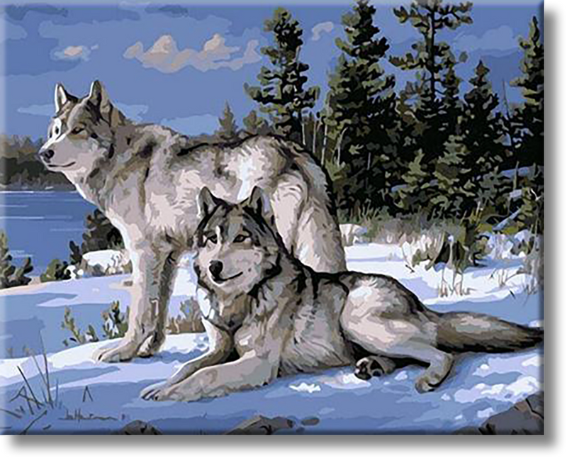 Wolves In The Snow - Painting By Number